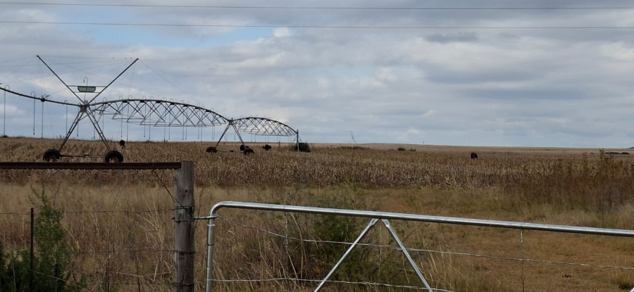 Commercial Property for Sale in Bloemfontein Rural Free State